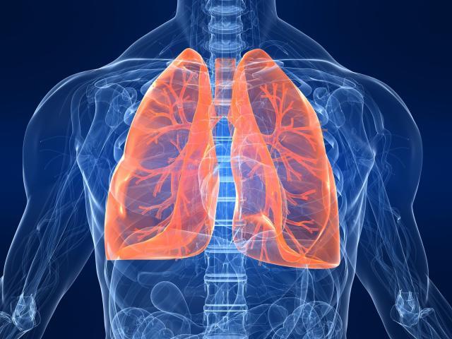 Očistite pluća: Ovaj napitak u potpunosti izbacuje nikotin i katran iz tela