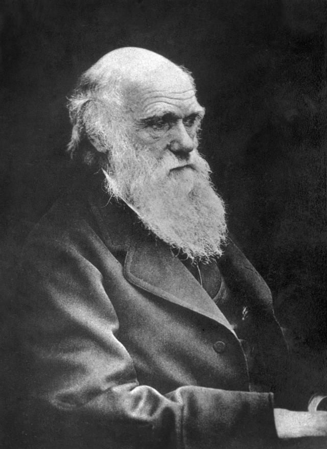 Teorija evolucije: Kako je Darvin napravio katastrofalnu grešku