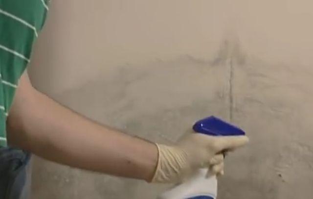 Imate tragove vlage na zidovima? Evo kako da ih sanirate