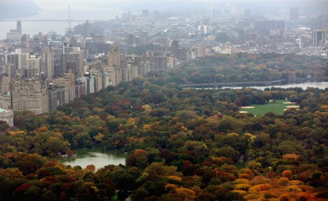 U Njujorku od leta zabrana za automobile u Central parku