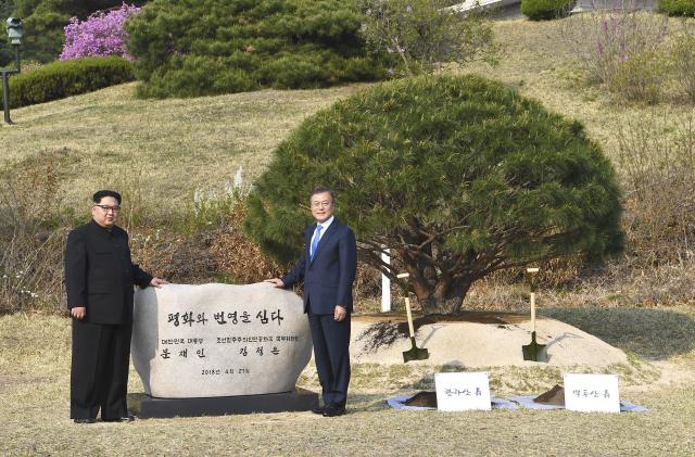 Kin i Mun zasadili bor - zemlja i voda iz obe Koreje