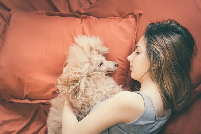 Da li spavate pored svog psa i kakav san imate?