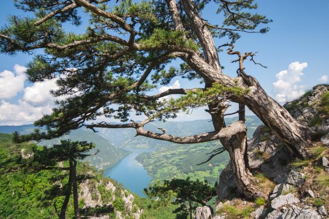 Najlepši nacionalni parkovi na prostoru bivše Jugoslavije