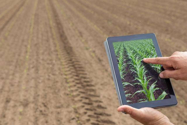 Bajer dobija uslovnu dozvolu za Monsanto, menja se svet agrara