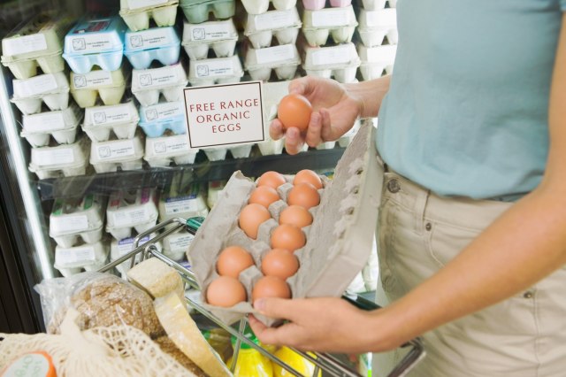 Povukli više od 73.000 zaraženih jaja iz Holandije