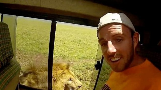 "Samo je hteo da pomazi lava": Zastrašujuæi snimak obišao planetu