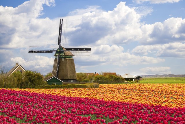 Tajna Holandije je u "zlatnom trouglu", šta možemo da nauèimo?