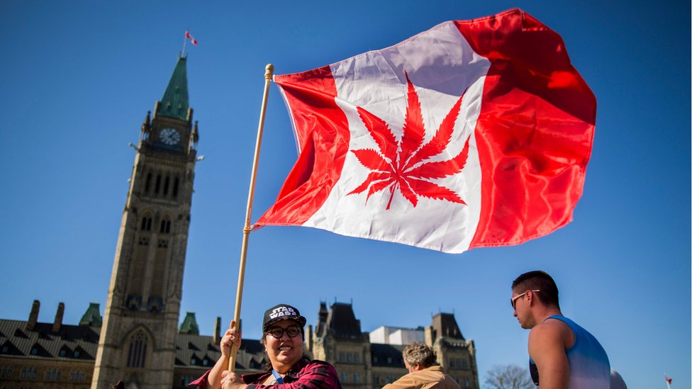 Kanada legalizovala rekreativnu upotrebu marihuanu
