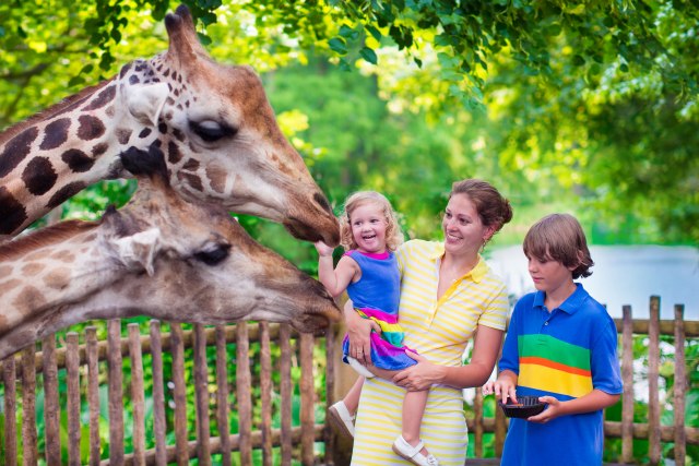 Radnici zoo vrta otkrivaju nepoznate zanimljivosti o životinjama