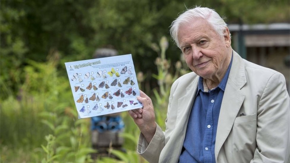 Dejvid Atenborou poziva da prebrojimo sve leptire na svetu