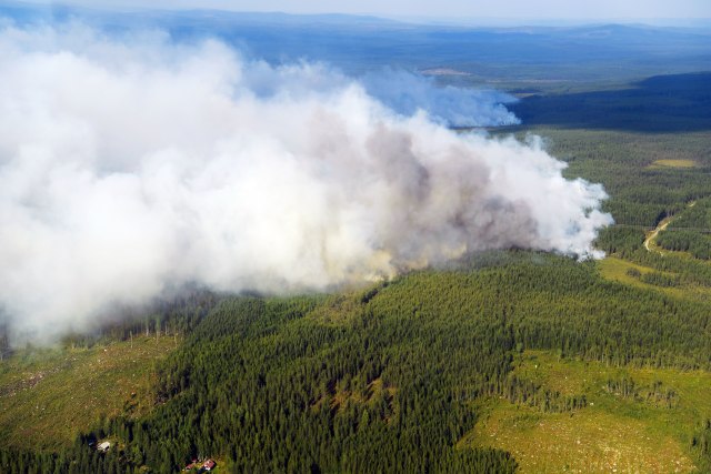 Nezapamćeni požari, Švedskoj treba pomoć