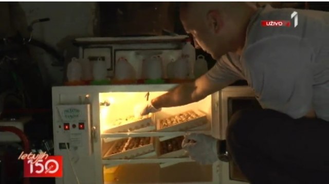 Neverovatno isplativo: Za mesec od 4.500 RSD do 24.000 RSD VIDEO