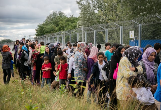 MK: Uhvaæeno 120 migranata koji su ilegalno prešli granicu
