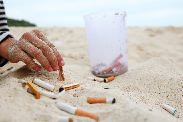 Sve je veći broj plaža sa zabranom pušenja