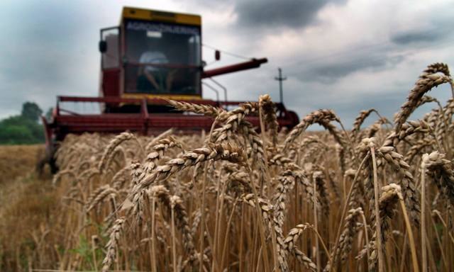 Arabs to buy faltering Serbian agriculture giant