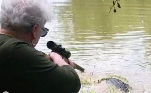 Baka ubila aligatora od 260 kila: "Jedan metak u glavu i..."