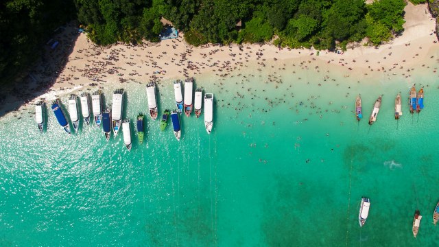 Plaža na kojoj je pronađeno 38.000 pikavaca: Za sve je kriv Dikaprio!