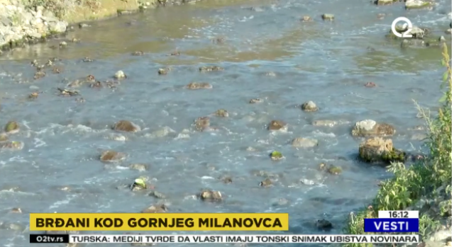 Nesnosni smrad širi se iz reke Despotovice VIDEO