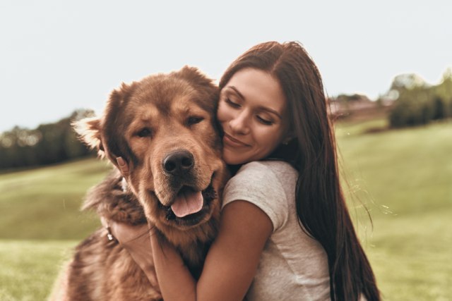 Psi druželjubivost nose u genima
