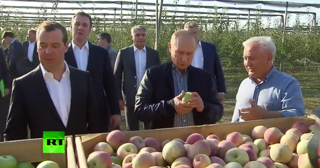Putin u voænjaku: Kako su jabuke tako ogromne? VIDEO