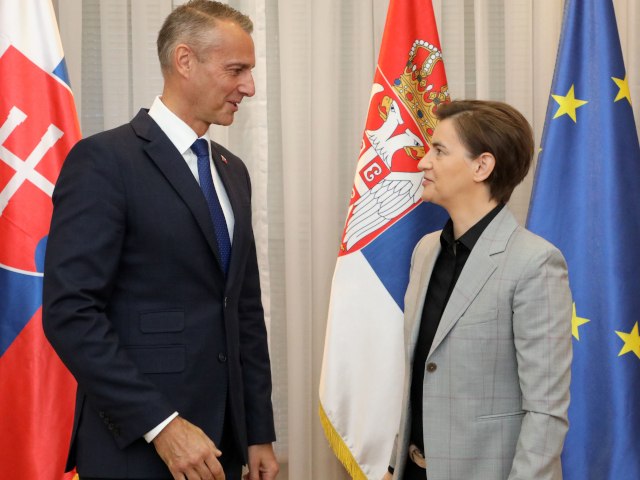 Serbia "appreciates Slovakia's stance on Kosovo"