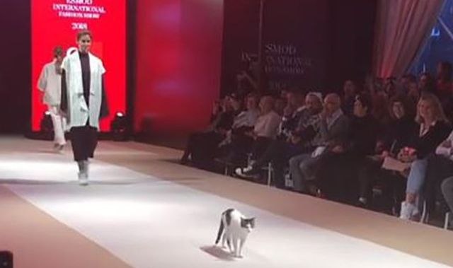 Ukrala šou: Maca prošetala modnom pistom VIDEO