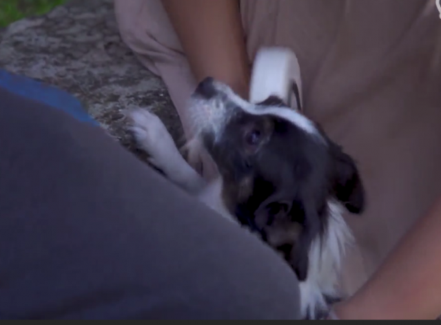 Pogledajte u filmu kako radi "Levijatan"