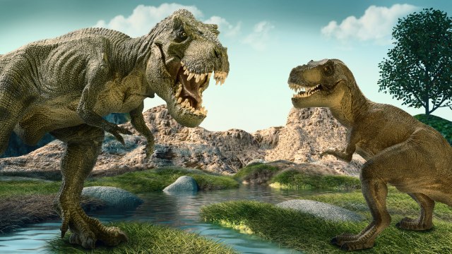 "Novi" ostaci dinosaurusa prvi put svedoèe o jednoj èinjenici