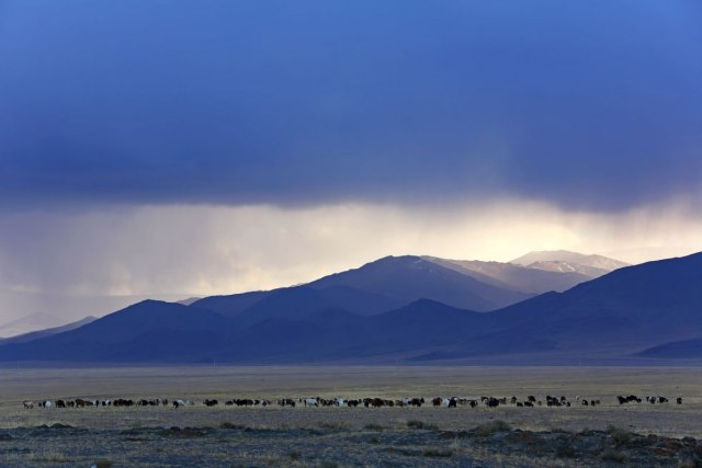 Veština koju retko ko zna: Evo kako "zvuèe" planine u Mongoliji