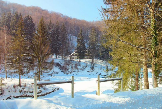 Najšumovitija planina na Balkanu nalazi se u SRB i èesto je zapostavljena
