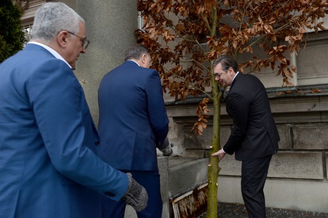 Vučić uneo badnjak u zgradu Predsedništva