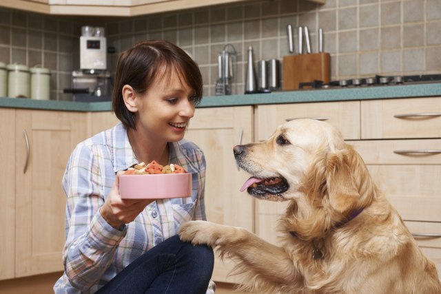 Koliko vaš pas zaista treba da jede?
