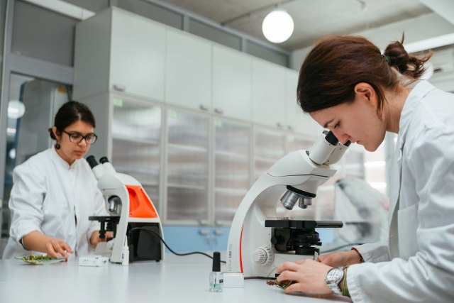 Foto: Istraživačka stanica Petnica