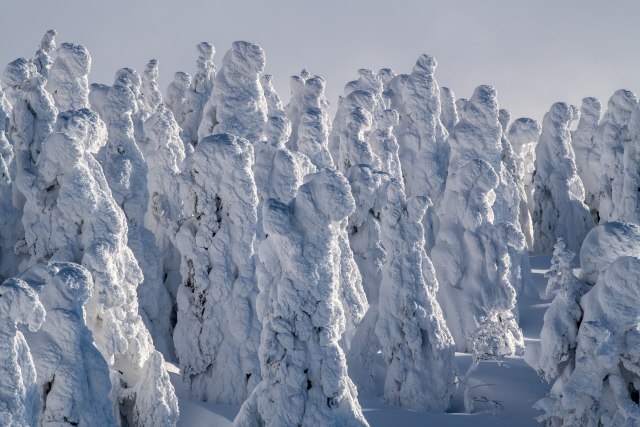 Jedinstveni fenomen zbog kog turisti opsedaju ovu planinu zimi