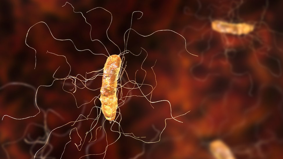 Clostridium difficile može biti smrtonosna/Getty Images
