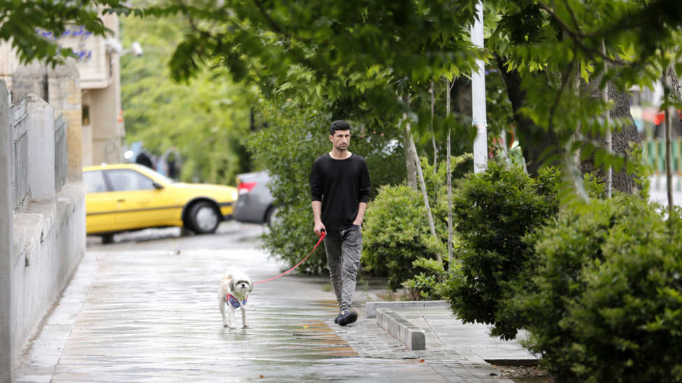 U Teheranu je zabranjeno šetati psa na javnim mestima