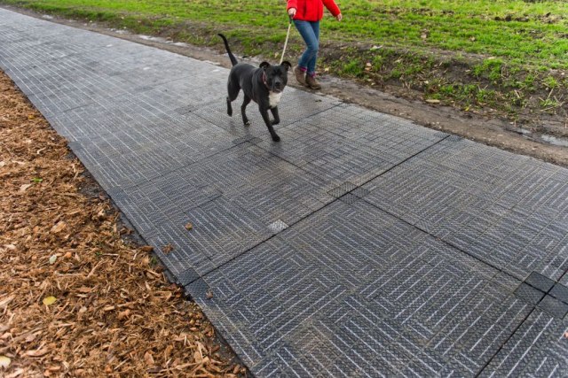 Još jedna drakonska mera protiv vlasnika pasa, šta je sledeæe?