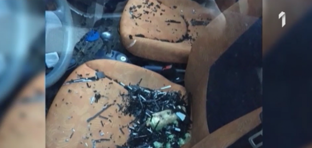 Svinjski papak razlupao automobil VIDEO