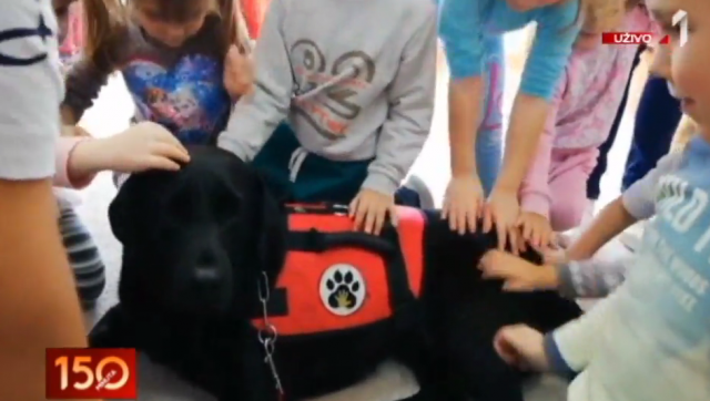 Lara je jedini terapeutski pas u Srbiji VIDEO