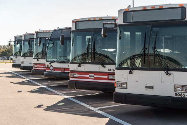 Autobusi stoje, vozači na bolovanju - razlog grip ili štrajk?