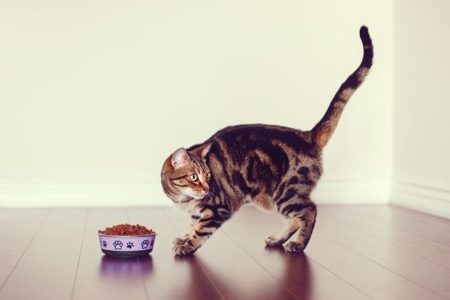 "Ne hranite životinje u zajednièkim prostorijama zgrade"