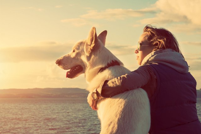 Čine da se osećamo bolje: 5 razloga zašto je dobro imati psa