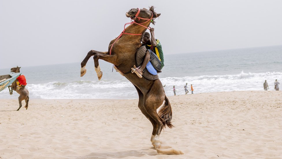 Jahači konja koji za život zarađuju na plaži u Lagosu