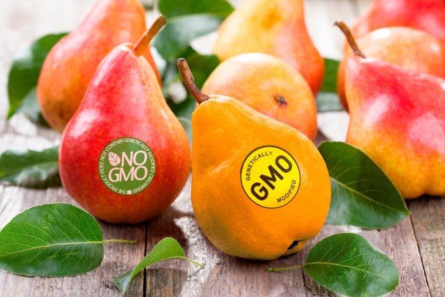 Ministar odbacio kritike - izmenama zakona ne uvodi se GMO