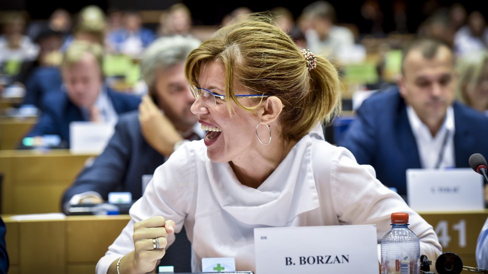 Intervju petkom - Biljana Borzan: Don Kihot protiv vetrenjača u Evropskom parlamentu