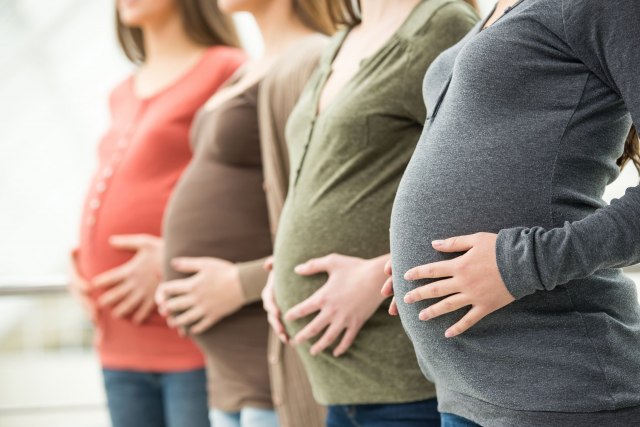 Kakav bejbi bum: Sve babice u bolnici trudne u isto vreme