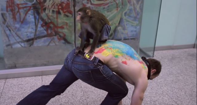 Pustio je majmuna da ga "istetovira" preko celih leða VIDEO
