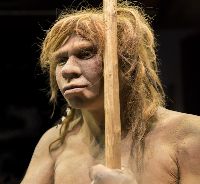 Veliko nauèno otkriæe: Prvi direktni dokaz postojanja neandertalaca na teritoriji Srbije