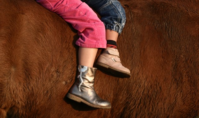 Dete palo sa konja na Košutnjaku i povredilo glavu