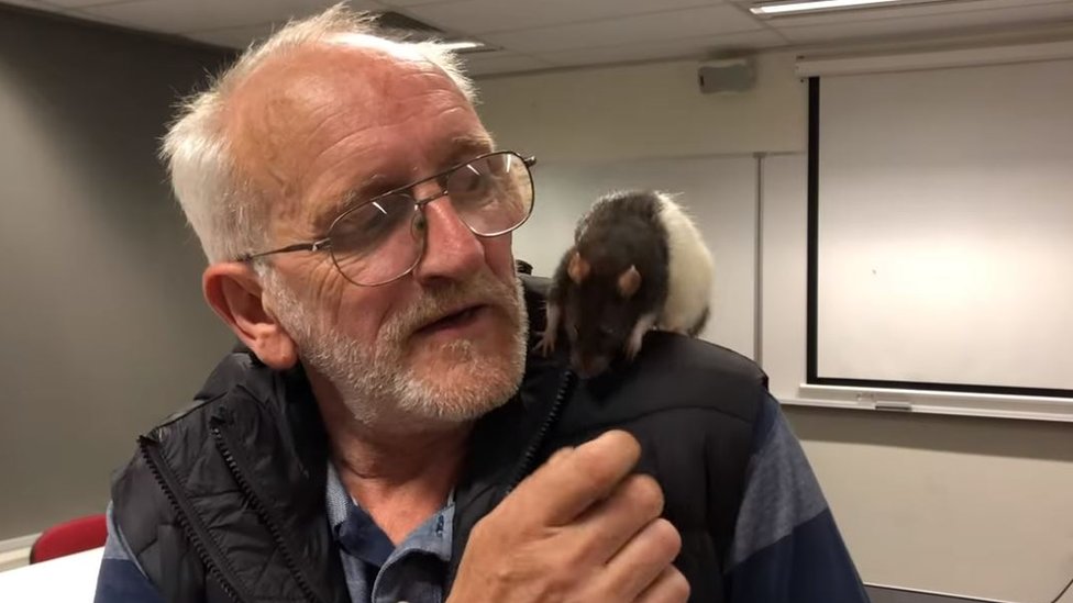 Australija: Beskućnik pronašao ljubimca - pacova